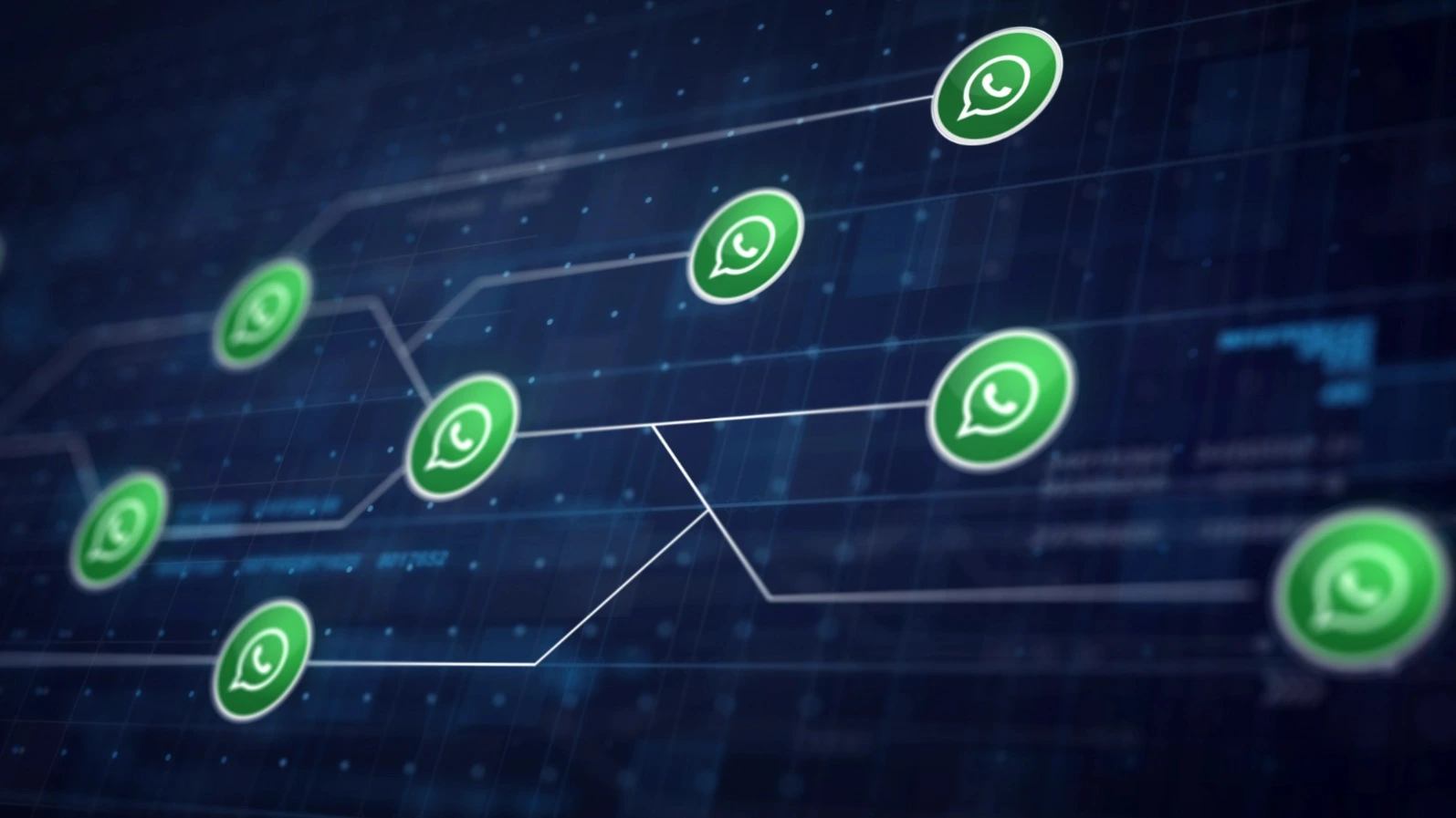 WhatsApp: el rey del chat en Colombia
