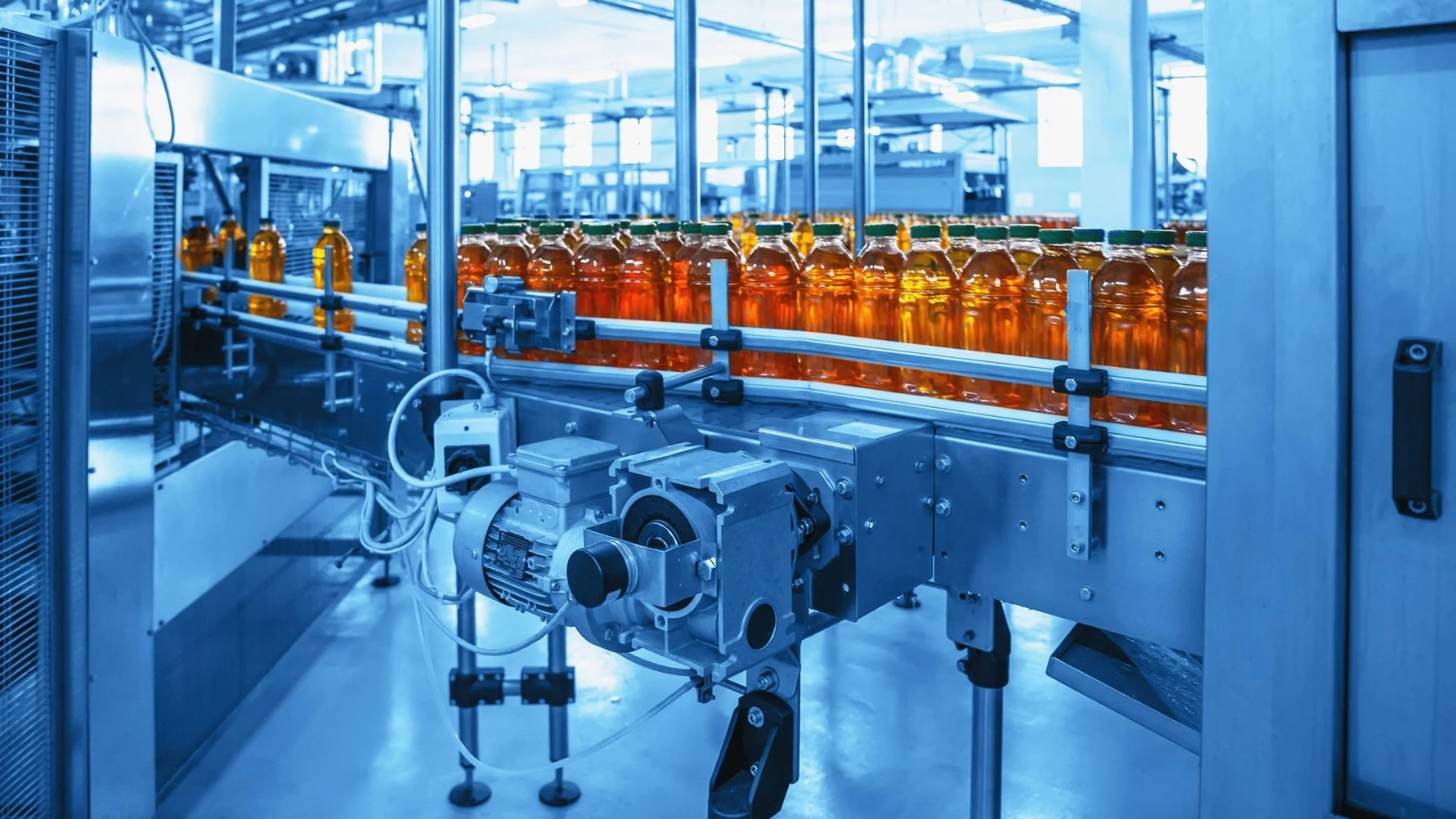 Industria alimentaria: digitalización para trazabilidad y eficiencia