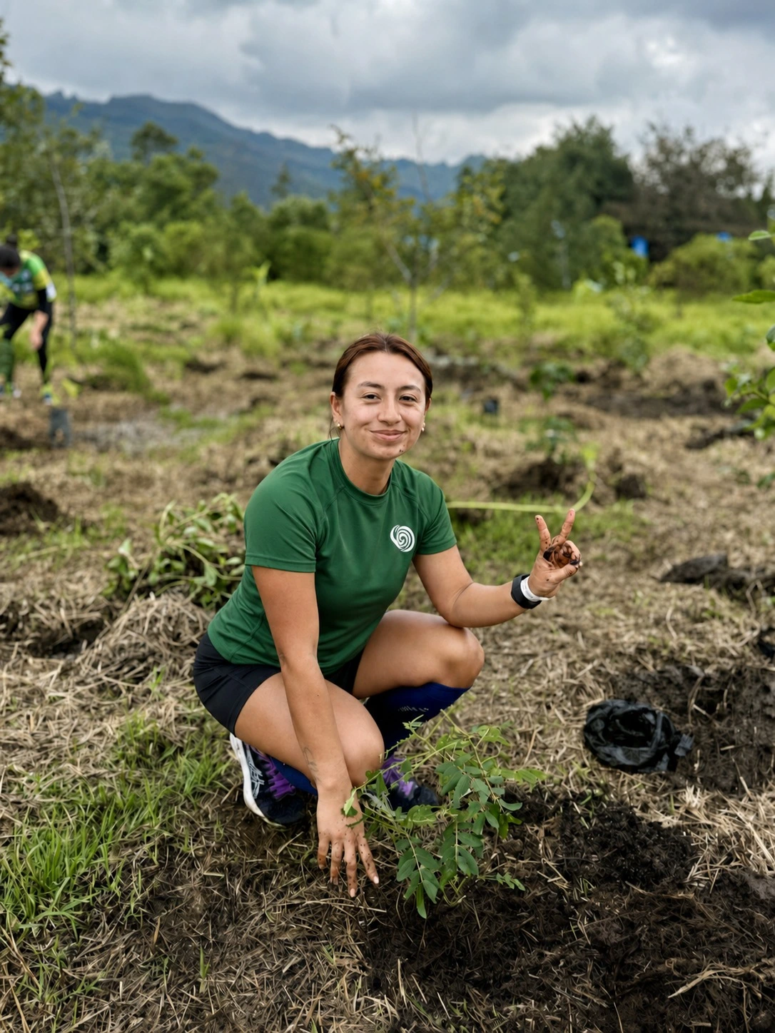 Ley del Árbol en Colombia: reglas claras y retos de cumplimiento