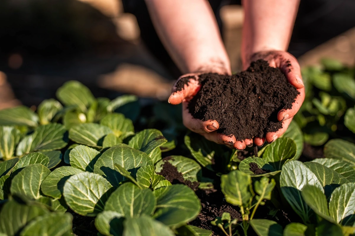 Colsubsidio entre las 10 mejores en inversión social y ambiental en Colombia